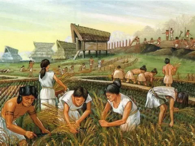 Tri največje spremembe v prehranskih navadah ljudi skozi&nbsp;zgodovino